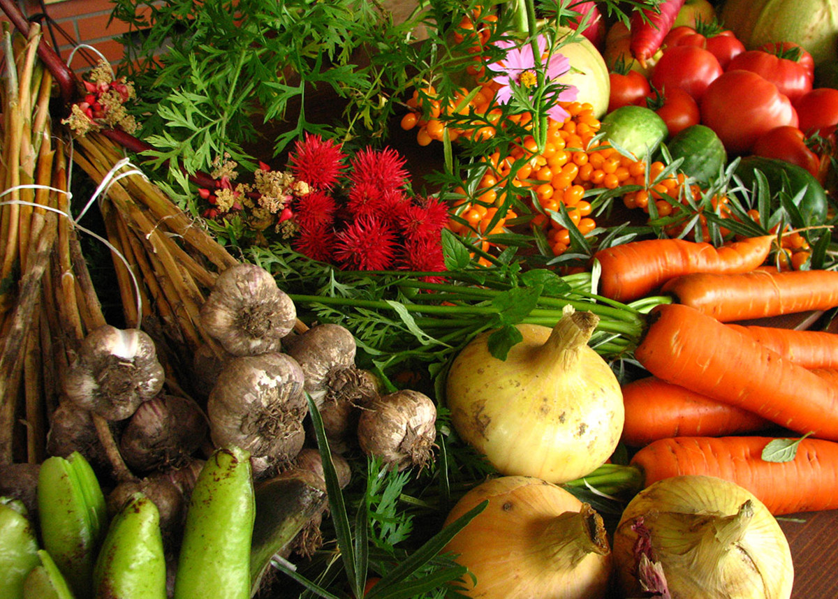 Freshly harvested garden produce