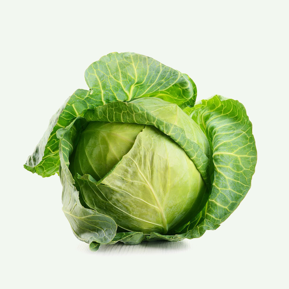 A whole cabbage